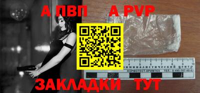 крисы Можга