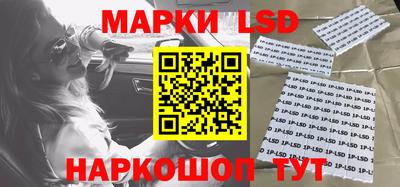 крисы Можга