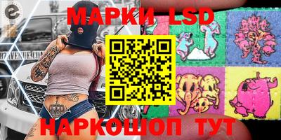 крисы Можга
