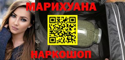 крисы Можга
