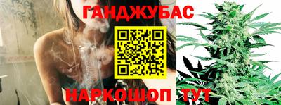 крисы Можга