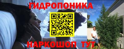 крисы Можга