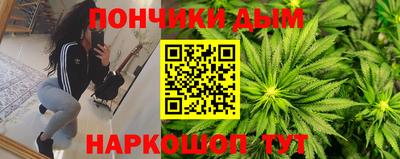 крисы Можга