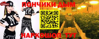 крисы Можга
