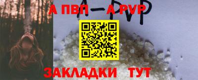 крисы Можга