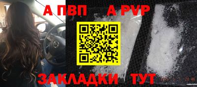 крисы Можга