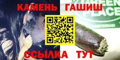 крисы Можга