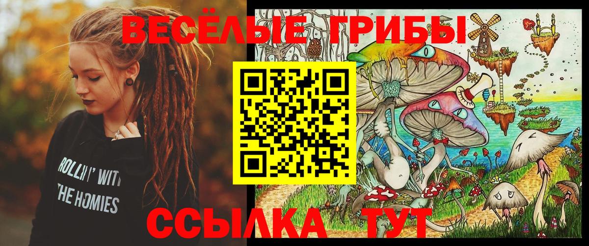 Псилоцибиновые грибы MAGIC MUSHROOMS Чебоксары