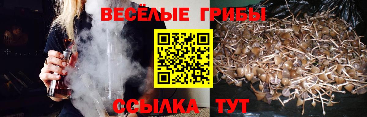 ГАШ Чебоксары